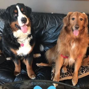 Meet your Posher, Ali